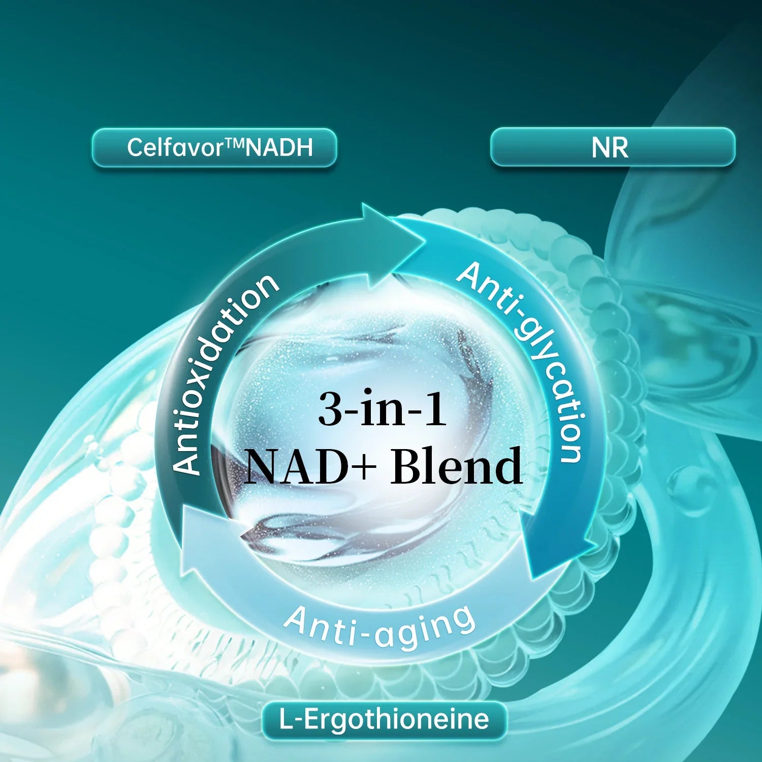 L- Ergothioneine NAD+ Blend